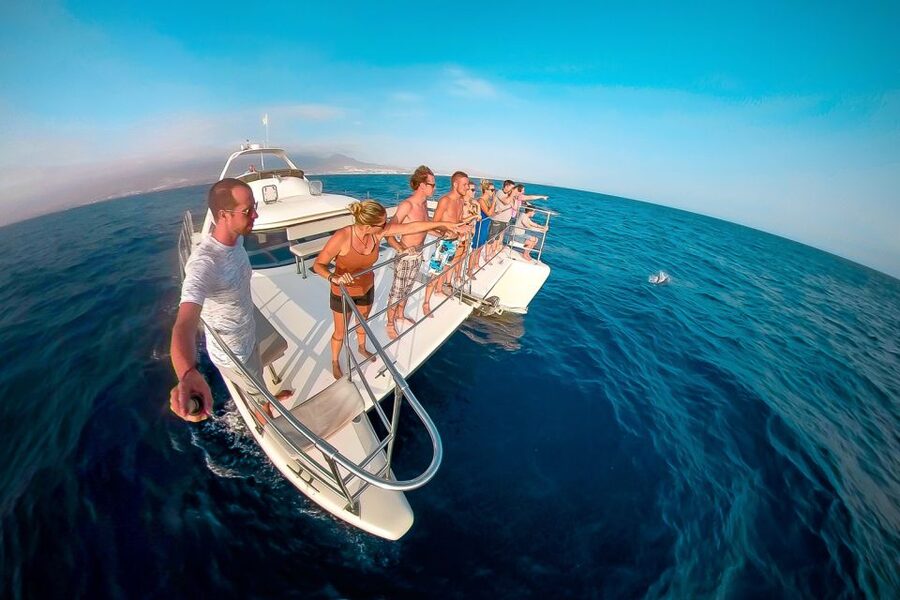 Tenerife: Marine-Life Tour with Transfer, Buffet and Drinks - Should you book the Monte Cristo Catamaran?