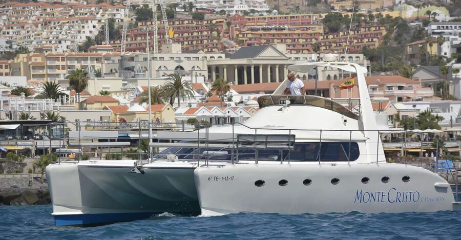 Tenerife: Marine-Life Tour with Transfer, Buffet and Drinks - Why Tenerife is good for whale watching