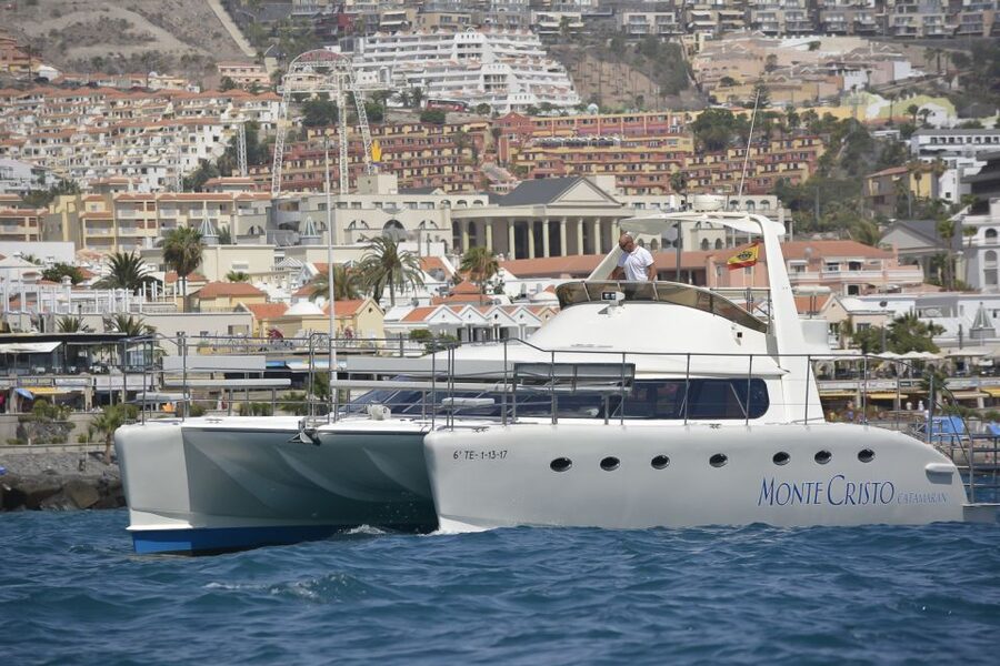 Tenerife: Marine-Life Tour with Transfer, Buffet and Drinks - What the three-hour itinerary feels like