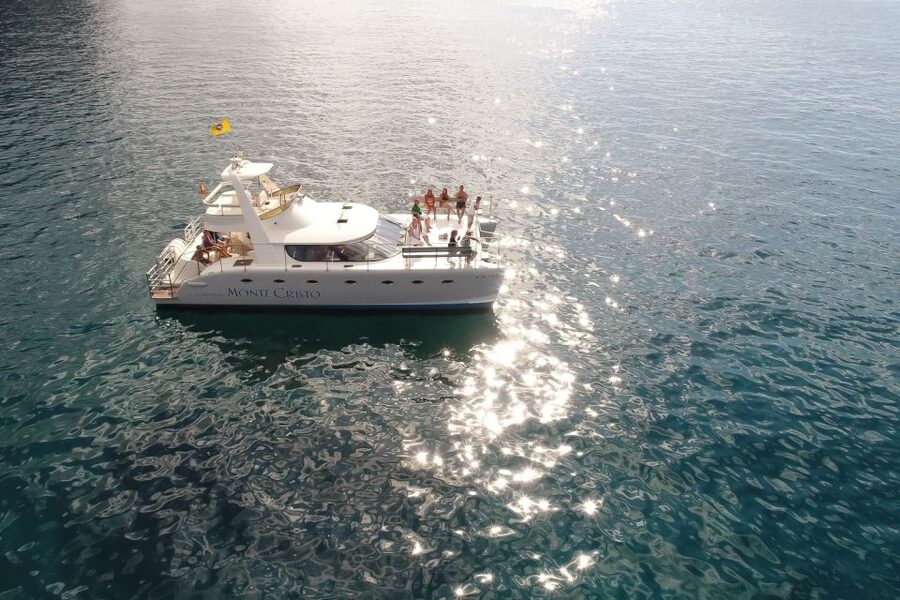 Tenerife: Marine-Life Tour with Transfer, Buffet and Drinks - The small-group advantage