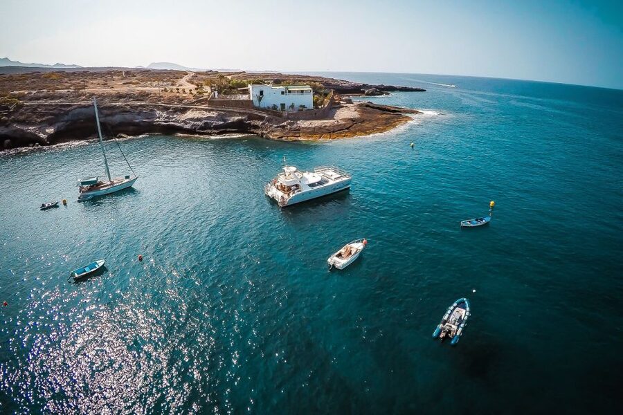 Tenerife: Marine-Life Tour with Transfer, Buffet and Drinks - How the price compares with the experience