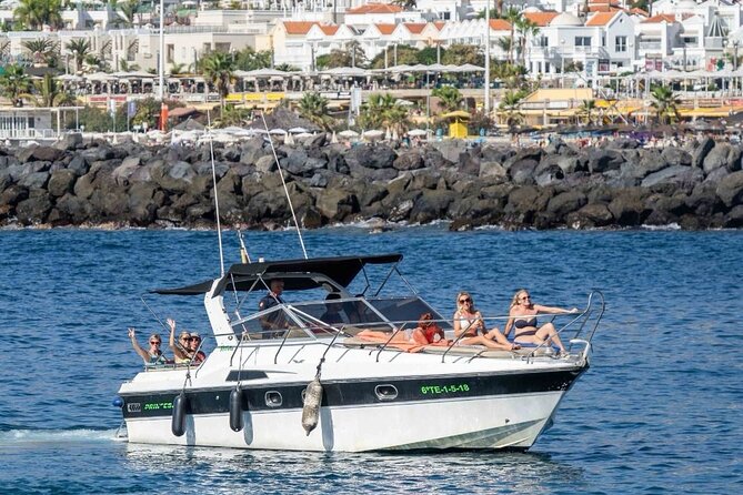 Tenerife Motor Boat Whale Watching & Snorkeling Experience - A small boat with a real wildlife focus