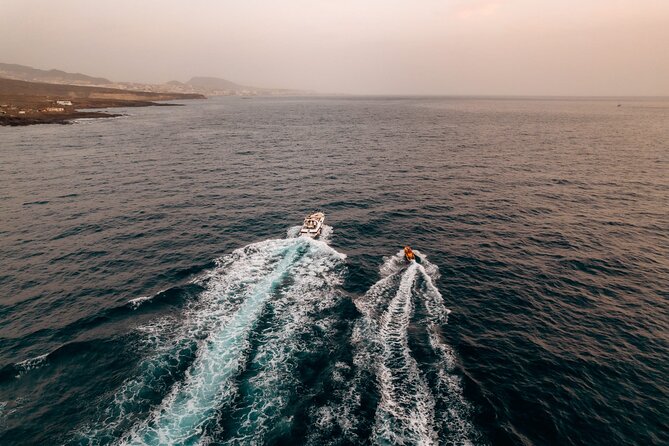 Tenerife Motor Boat Whale Watching & Snorkeling Experience - Cruising Tenerife’s southern coast