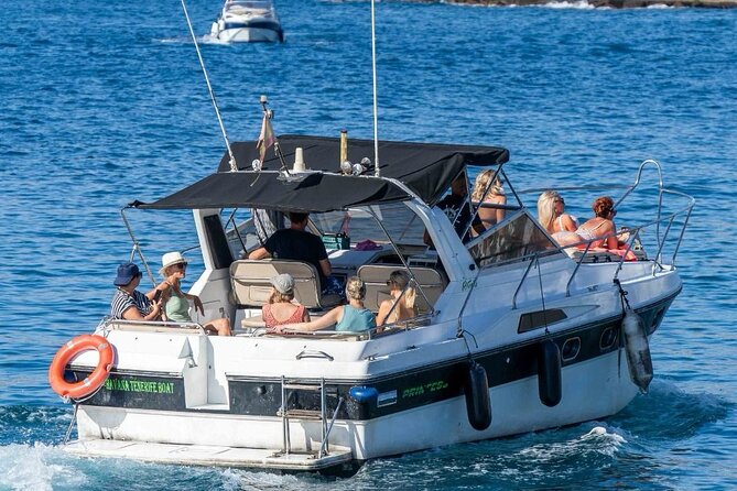 Tenerife Motor Boat Whale Watching & Snorkeling Experience - Watching pilot whales and dolphins in the wild