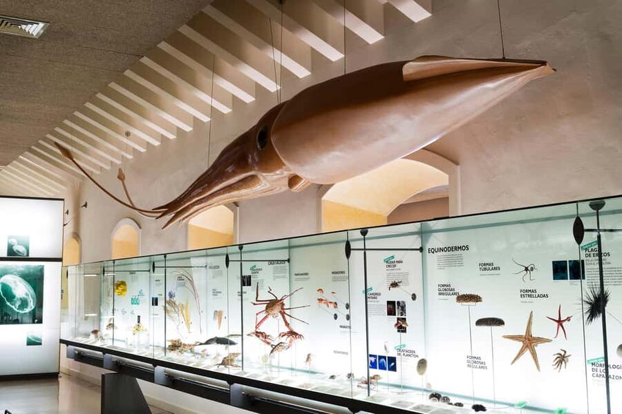 Tenerife: MUNA Museum Admission Ticket and Teide Legend Tour - Two sides of Tenerife in one ticket