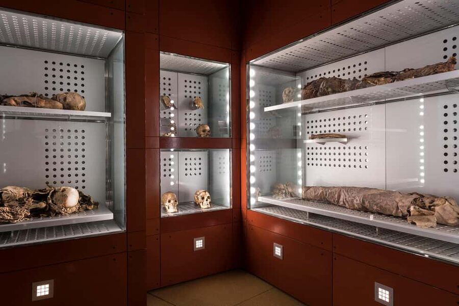 Tenerife: MUNA Museum Admission Ticket and Teide Legend Tour - MUNA and the Guanche story in Santa Cruz