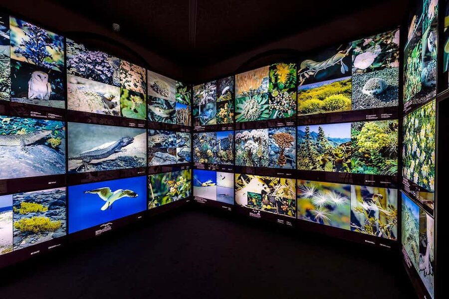 Tenerife: MUNA Museum Admission Ticket and Teide Legend Tour - Accessibility, preparation, and conduct