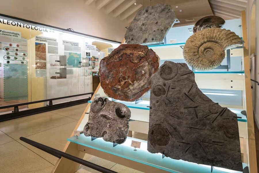 Tenerife: MUNA Museum Admission Ticket and Teide Legend Tour - Who should book this experience?