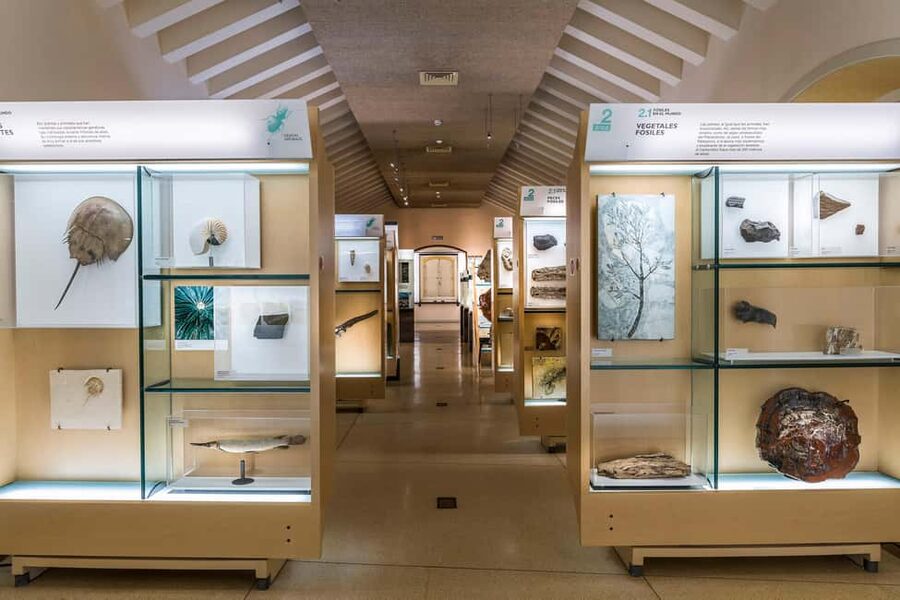 Tenerife: MUNA Museum Admission Ticket and Teide Legend Tour - Should you book the MUNA and Teide combo?
