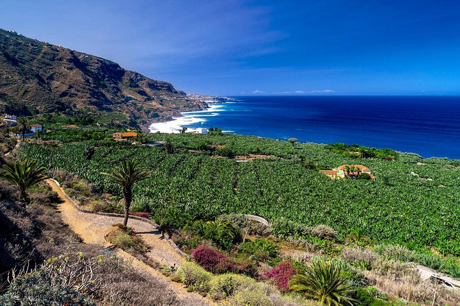 Tenerife North Private Tour: Through Villages and Ports - Key points at a glance