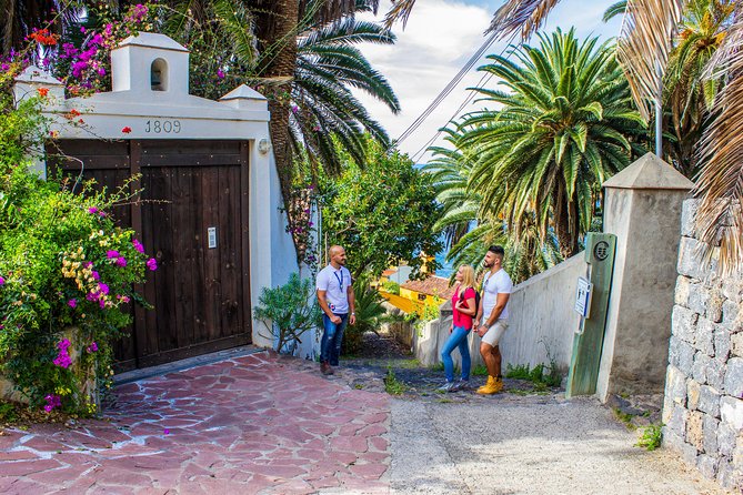 Tenerife North Private Tour: Through Villages and Ports - Why Tenerife’s north makes a strong one-day route