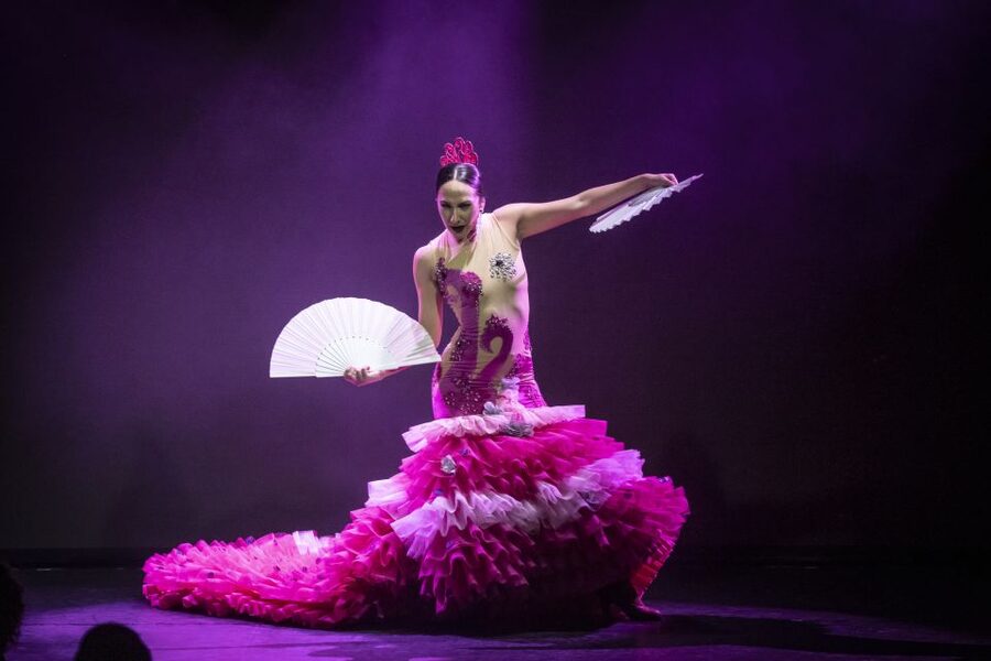 Tenerife : Olé Flamenco Show by Fran Chafino Ticket - Dance, music, and the force of live performance