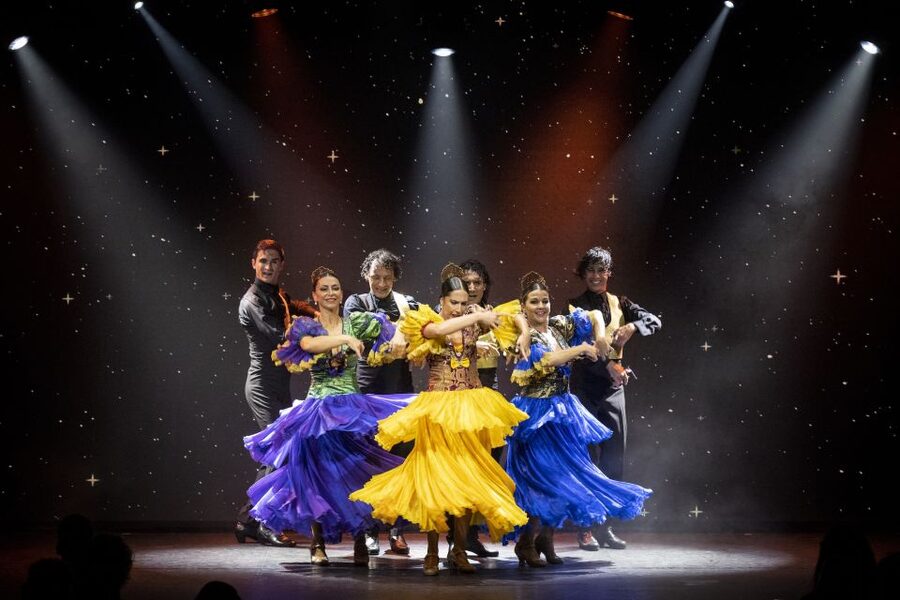 Tenerife : Olé Flamenco Show by Fran Chafino Ticket - Who will enjoy Olé most