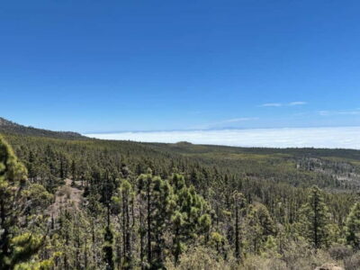 premium e-bike ride at Vilaflor- Lunar Landscape