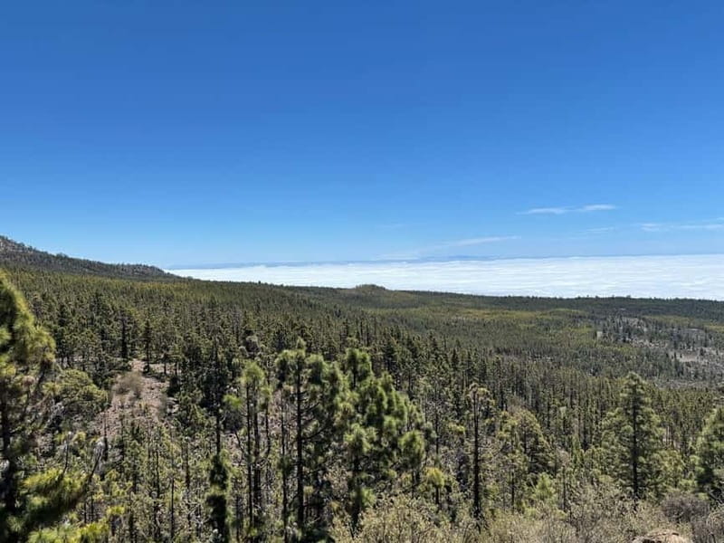 Tenerife: premium e-bike ride at Vilaflor- Lunar Landscape - From pavement to broad volcanic tracks
