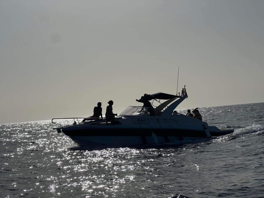 Tenerife: Private Boat Charter with Tapas & Drinks - Wildlife watching without a promise