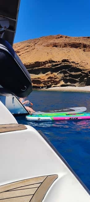 Tenerife: PRIVATE Catamaran cruise with Lunch and Drinks - Looking for dolphins and whales