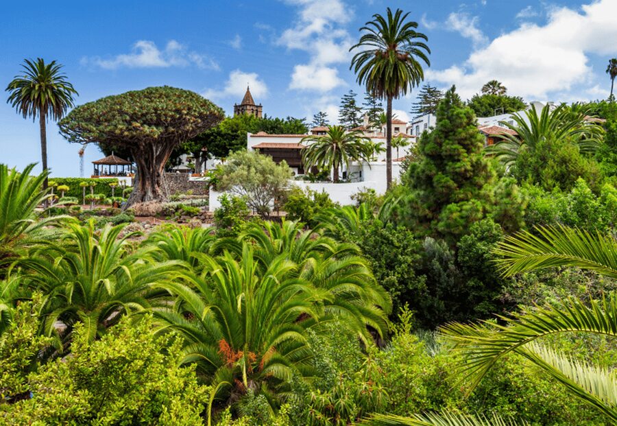 Tenerife: Private Day Tour of the Island with Hotel Pickup - Santa Cruz, Tenerife’s capital
