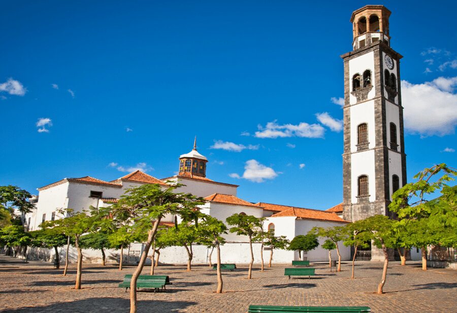Tenerife: Private Day Tour of the Island with Hotel Pickup - La Laguna and the old island story