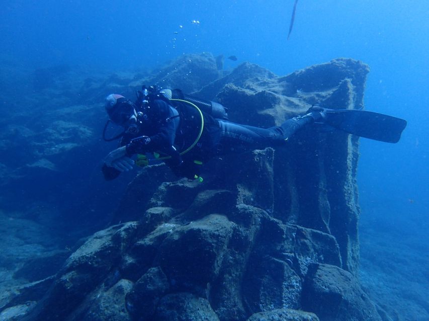 Tenerife : Private Dive for Beginners from a Boat - Who will enjoy this most