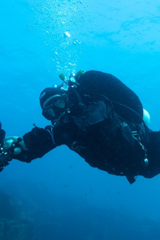 Tenerife : Private Dive for Beginners from a Boat - Learning the basics before leaving shore
