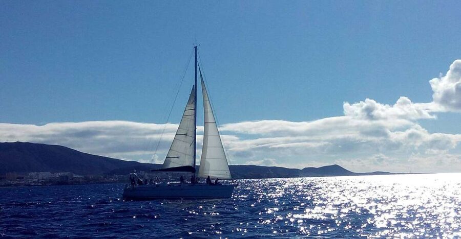 Tenerife: Private or Group 3 Hour Sailing Cruise with Drinks - What the $65 price buys you