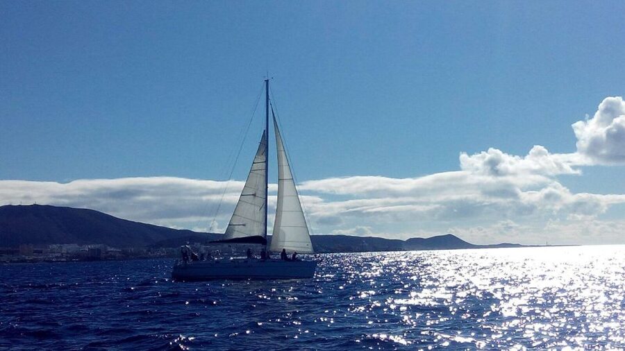Tenerife: Private or Group 3 Hour Sailing Cruise with Drinks - Three hours along Costa Adeje
