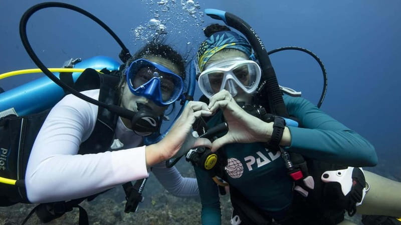 Tenerife: Private Scuba Diving–Certified Instructor & Photos - Two hours at the southern coast site