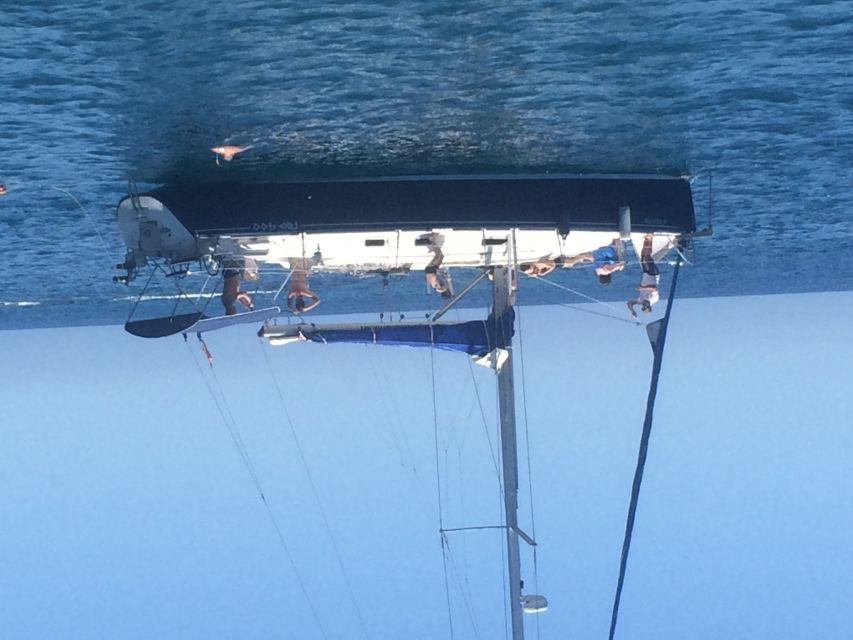 Tenerife: Private Sunset Charter with Drinks and Tapas - Whale and Dolphin Watching Along the Route