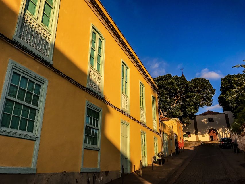 Tenerife Private Tour: Full-Day Volcanic South - The electric Mercedes van and time on the road