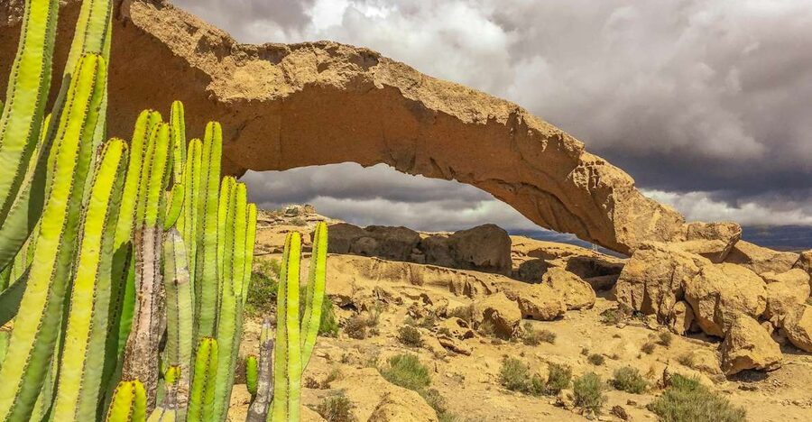 Tenerife Private Tour: Full-Day Volcanic South - Why this tour is different from a standard Tenerife outing