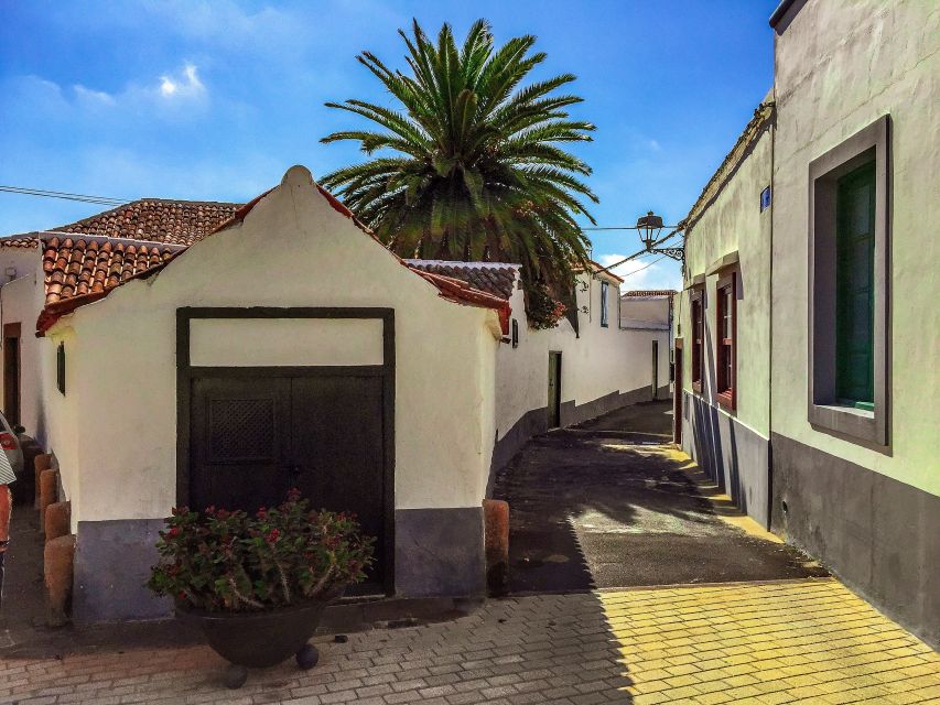 Tenerife Private Tour: Full-Day Volcanic South - Lunch: a flexible break rather than a fixed attraction