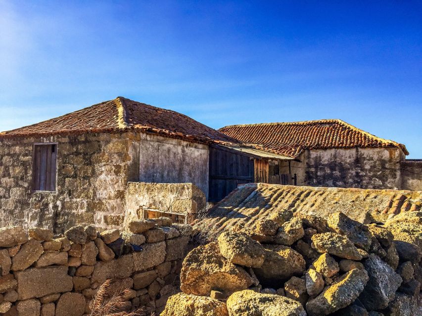 Tenerife Private Tour: Full-Day Volcanic South - Teide National Park without a cable-car visit