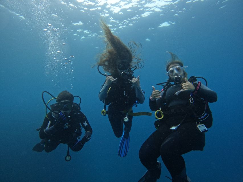 Tenerife: Puerto Colon Certified Scuba Dive by Speed Boat - Puerto Colón is the practical starting point