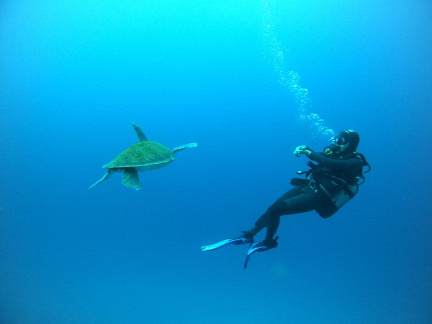 Tenerife: Puerto Colon Certified Scuba Dive by Speed Boat - The speedboat adds a quick burst of Tenerife