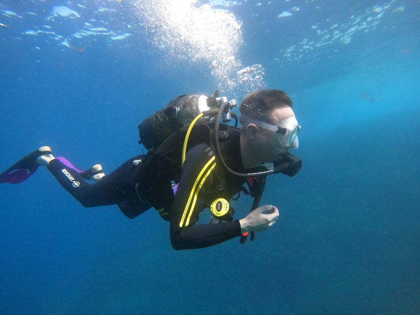 Tenerife: Puerto Colon Discover Scuba Diving Trip - Why the instructors matter for a first attempt