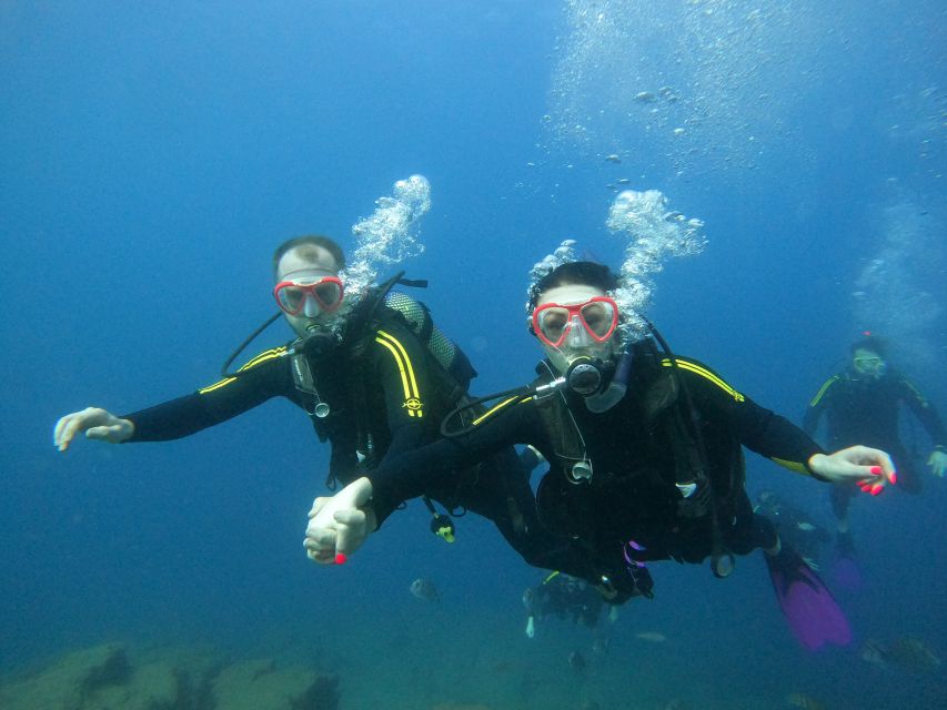 Tenerife: Puerto Colon Discover Scuba Diving Trip - What the $113 price includes