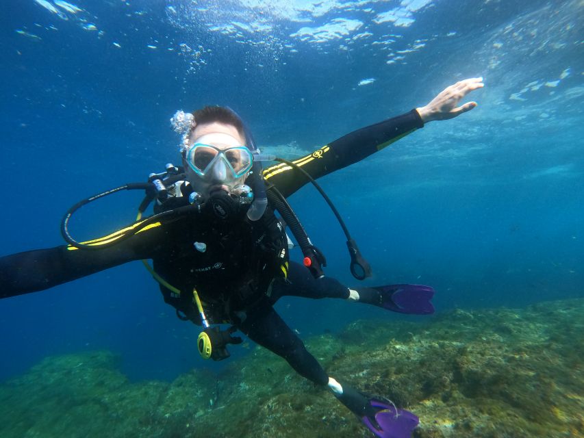 Tenerife: Puerto Colon Discover Scuba Diving Trip - Health, age, and planning details that matter