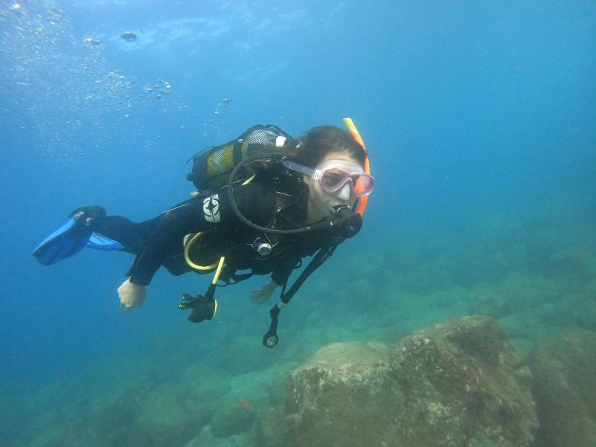 Tenerife: Puerto Colon Discover Scuba Diving Trip - Who will get the most from this activity