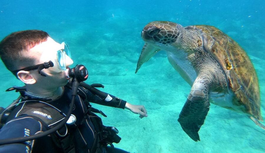 Tenerife: Puerto Colon Discover Scuba Diving Trip - The 30-minute safety briefing at Puerto Colón