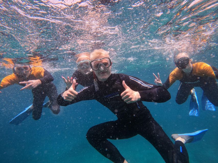 Tenerife: Puerto Colon Snorkel Safari by Speed Boat - Key points at a glance