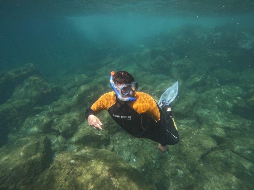Tenerife: Puerto Colon Snorkel Safari by Speed Boat - A lively 15-minute ride along Tenerife’s coast