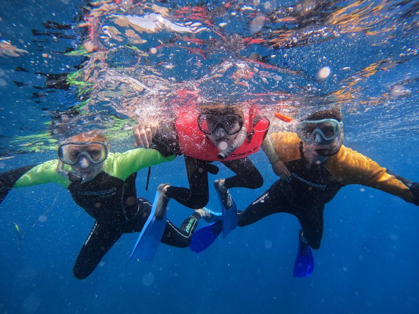 Tenerife: Puerto Colon Snorkel Safari by Speed Boat - Practical details before you book