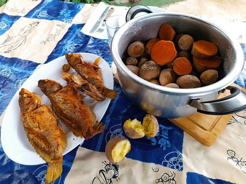 Tenerife-Puerto Cruz: Avatar Hiking, Punta Hidalgo +Cocktail - Key points at a glance