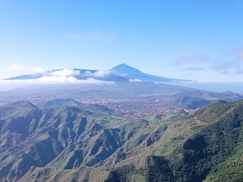 Tenerife-Puerto Cruz: Avatar Hiking, Punta Hidalgo +Cocktail - Why this route works so well in northern Tenerife