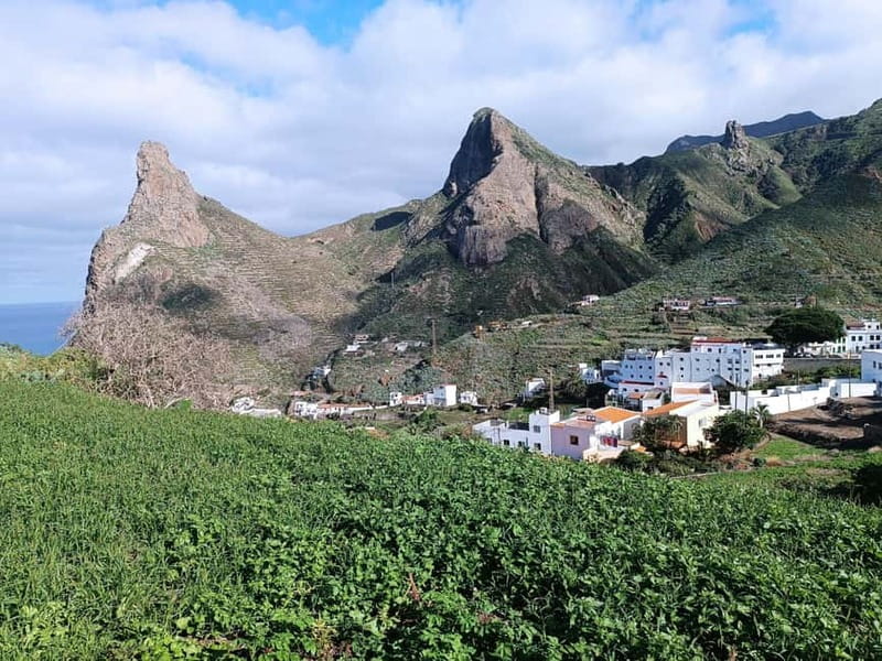 Tenerife-Puerto Cruz: Avatar Hiking, Punta Hidalgo +Cocktail - Mirador de Jardina and the first mountain views