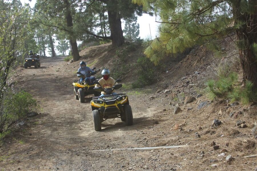 Tenerife: Quad Bike Off-Road Adventure - Is two hours enough?