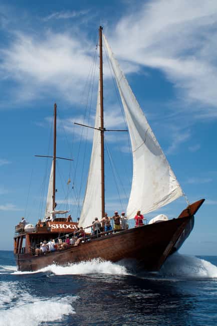 Tenerife:Respectful Whale Watching, Pirate Ship, & Swim - The swimming stop and what to bring