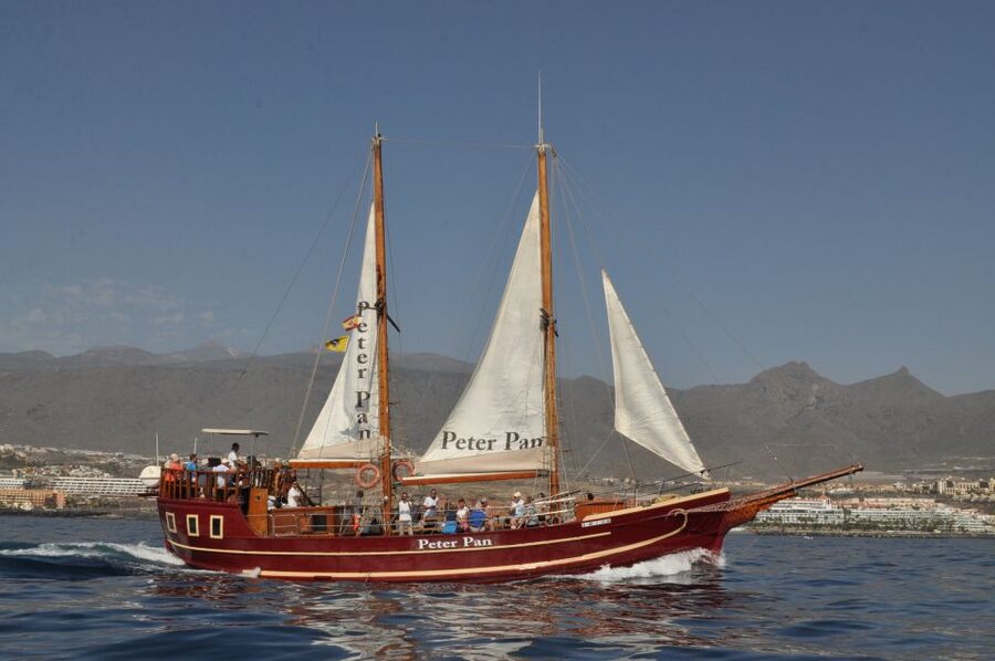 Tenerife:Respectful Whale Watching, Pirate Ship, & Swim - A crew that makes the difference