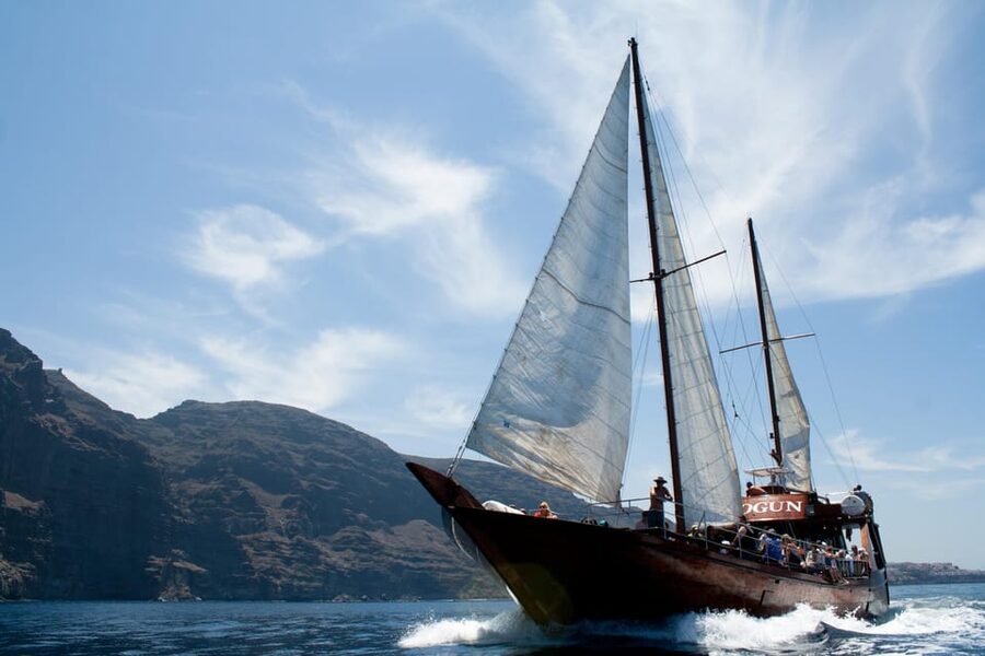 Tenerife:Respectful Whale Watching, Pirate Ship, & Swim - Is the $17 price good value?
